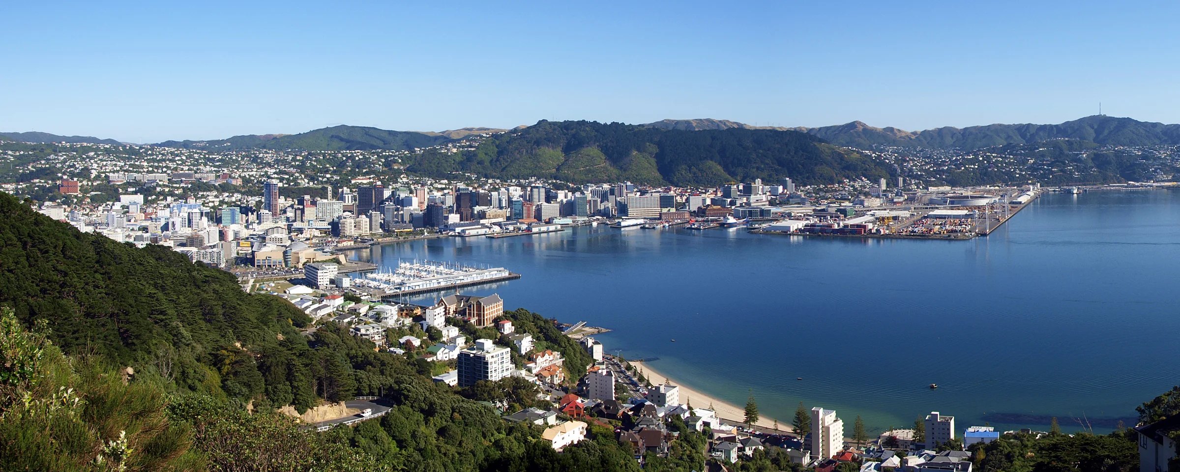 Wellington city skyline and harbour viewed from above Oriental Bay