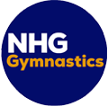 Dashing Web Designs NHG Gym Logo